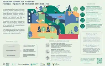 Solutions fondées sur la nature : Protéger la planète et améliorer notre bien-être