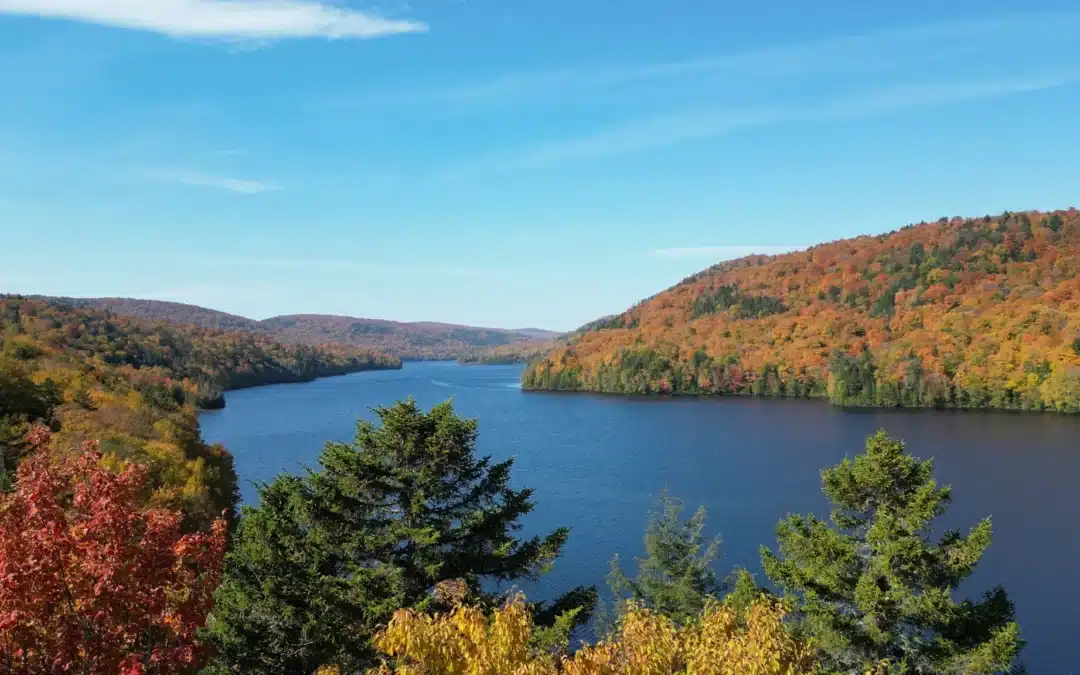 Saint-Mathieu-du-Parc : de l’industrie extractive au tourisme durable