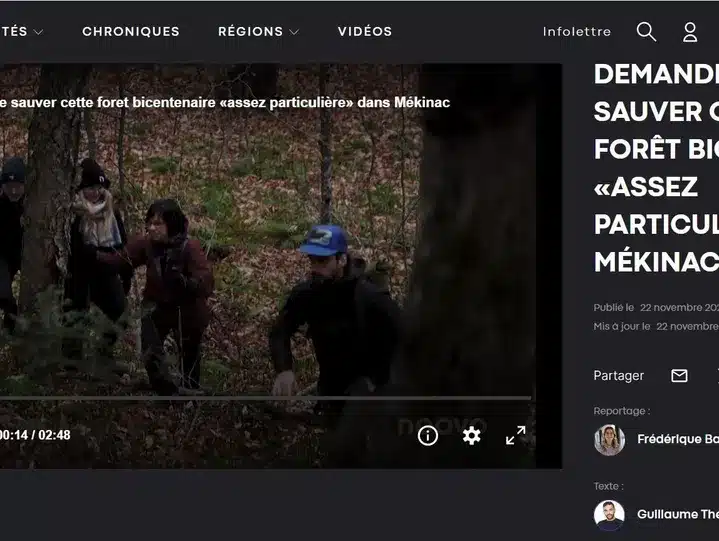 Des citoyens demandent de sauver cette forêt bicentenaire... 